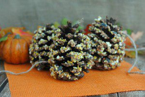 Thanksgiving Garden Stroll & Craft