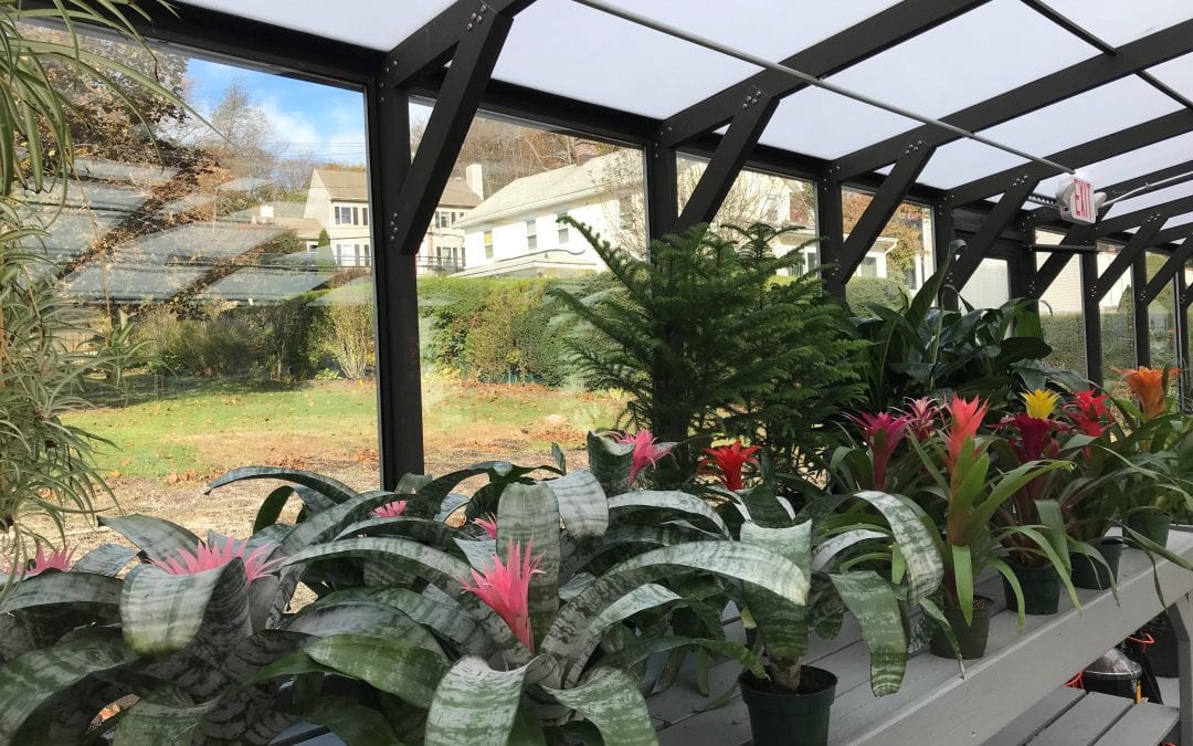 Abilis Holds Grand Re-Opening Of Its Newly Remodeled Abilis Gardens & Gifts