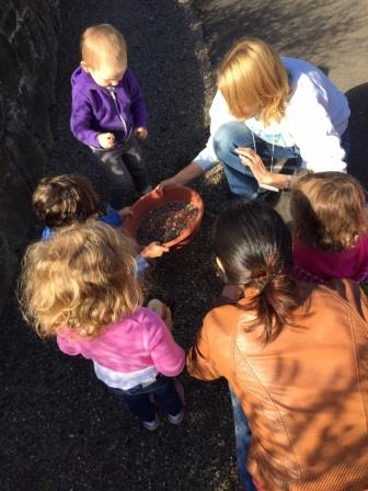 Growing Life Skills with GEC Youth Enrichment: Nature Programs for Your Preschooler