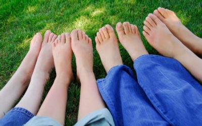 Summer Lawn Care Tips from SavATree