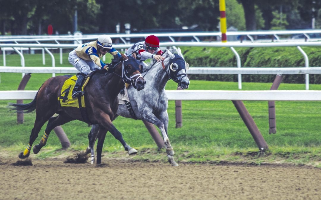 Spotlight on Saratoga: Our Saratoga Picks!