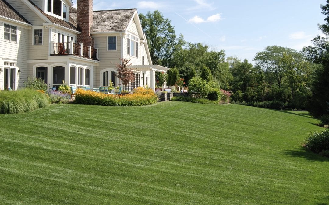 Does your lawn need some TLC?