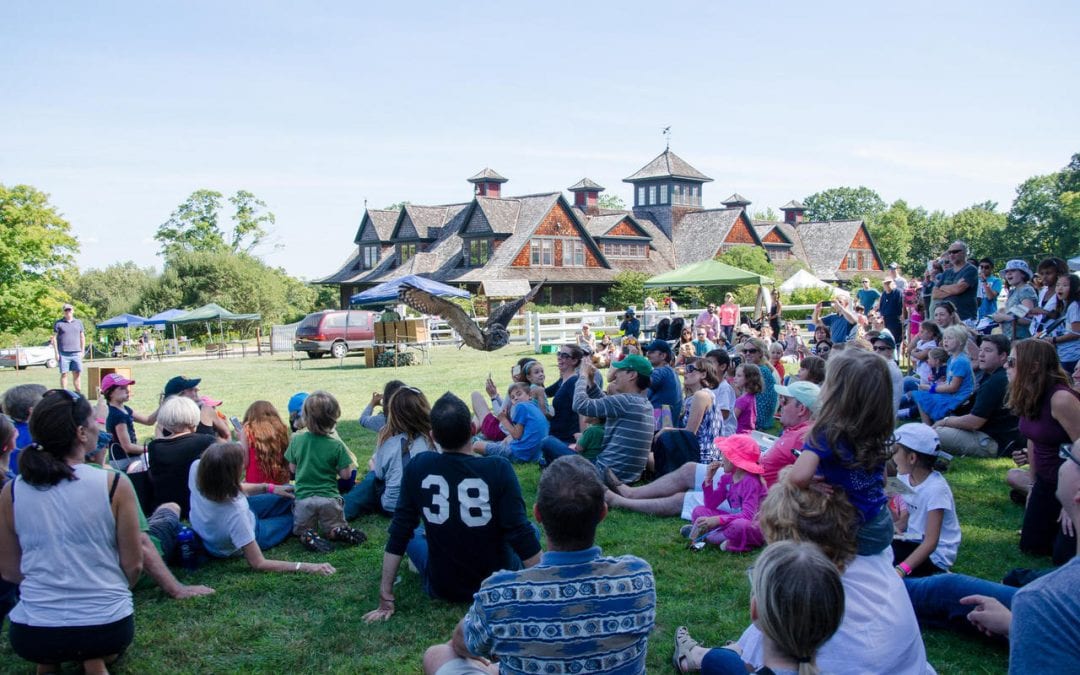 20th Annual Fall Festival & Hawk Watch
