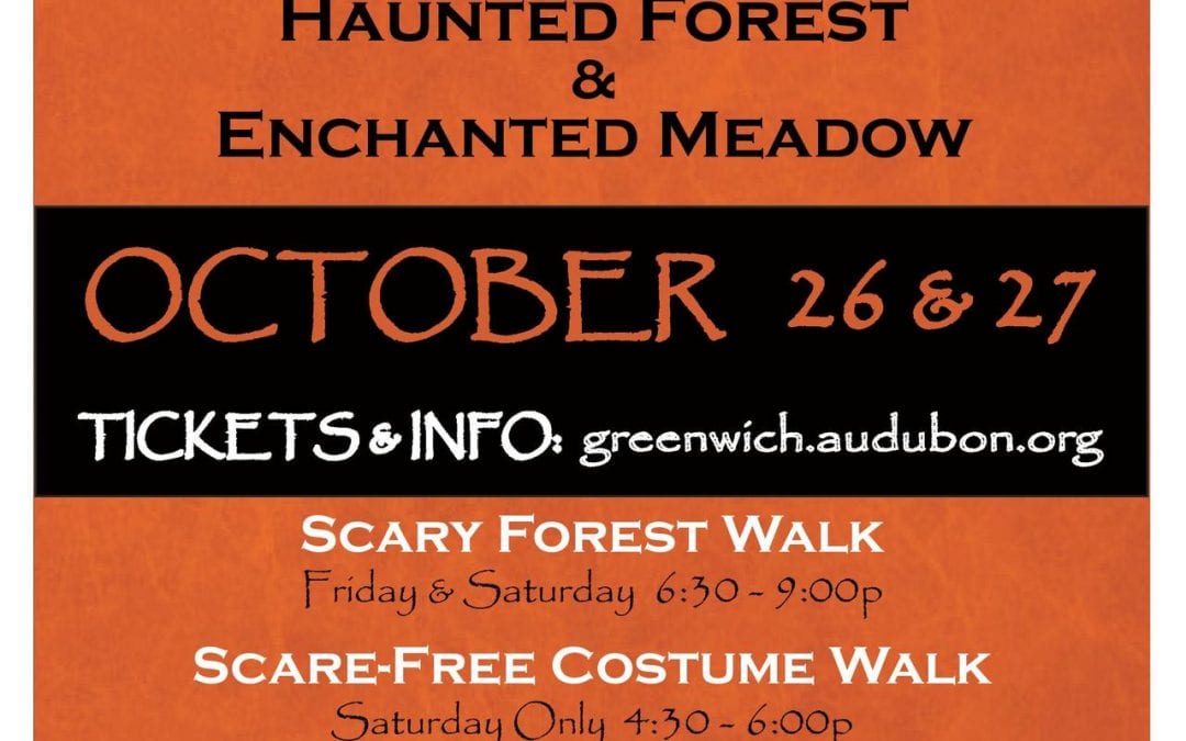 Audubon Greenwich Halloween