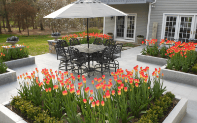 Falling for Fall, Planting Season is Here!