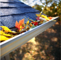 Why does YOUR house need Gutter Cleaning?