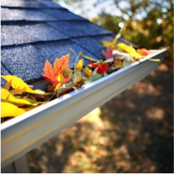 Why does YOUR house need Gutter Cleaning?
