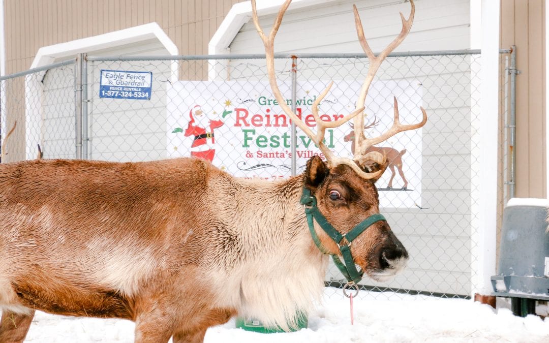 Greenwich Reindeer Festival
