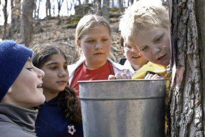 Maple Sugar Day at GLT!