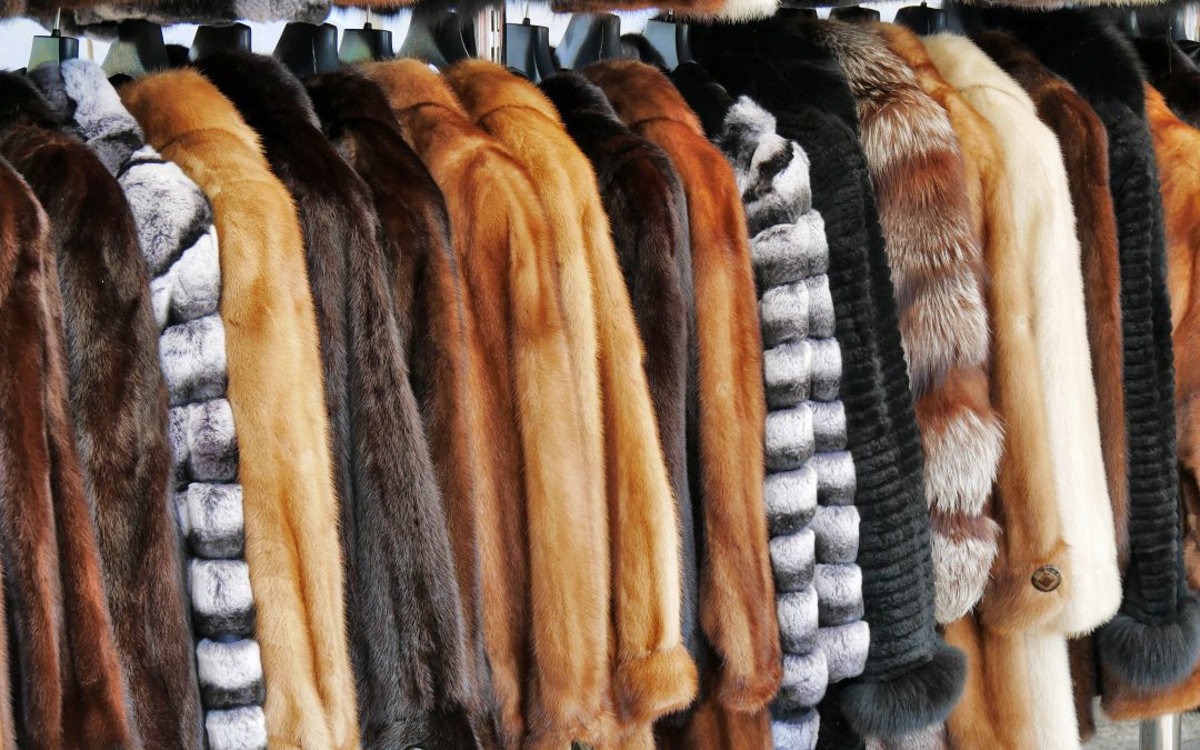 Fur & Fine Outwear Care & Storage