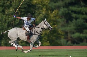 Greenwich Polo American Cup Final