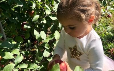 Greenwich Moms Fall Bucket List
