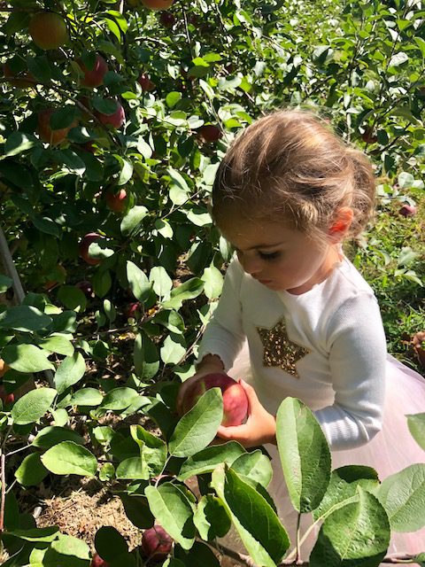 Greenwich Moms Fall Bucket List