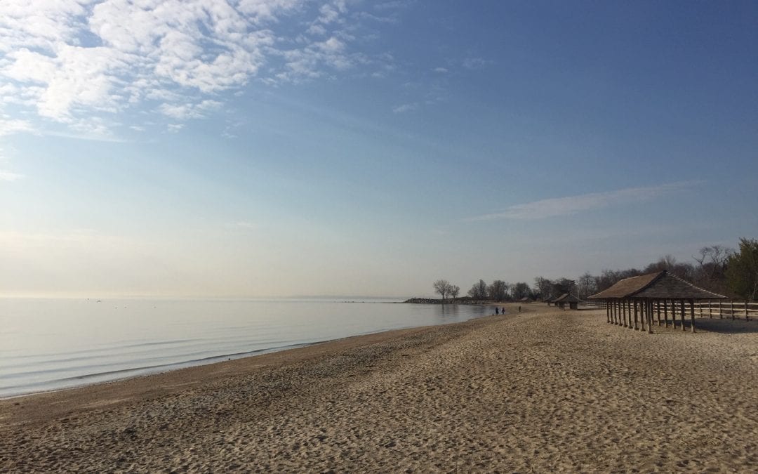 5 Fun (and Screen-Free) Things to Do in Greenwich During School Closures