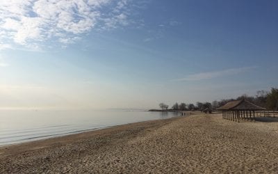 5 Fun (and Screen-Free) Things to Do in Greenwich During School Closures