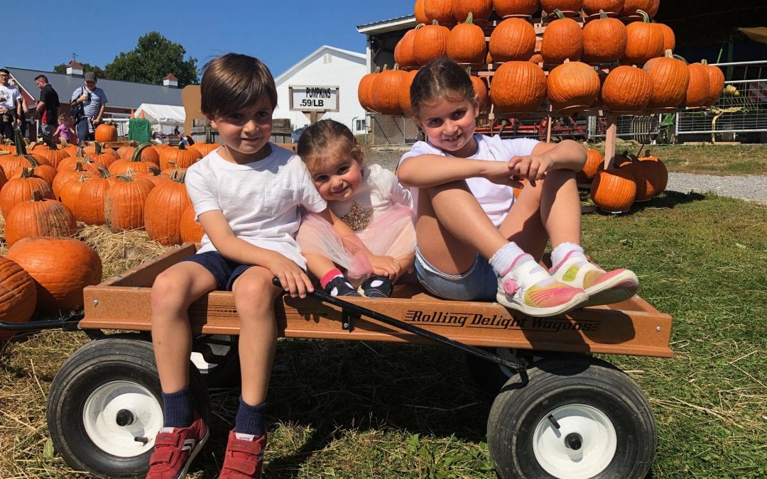 Pumpkin Picking Season is Here!