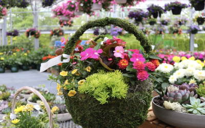 Spring Gardening Tips from Sam Bridge!