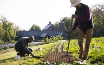 Grow Your Own Incredible, Edible Garden: Q&A with Stone Barns Center for Food & Agriculture