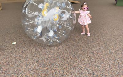 What’s New at Stepping Stones This Summer & Fall!