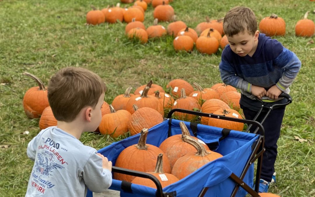 Pumpkin Picking Season is Here!