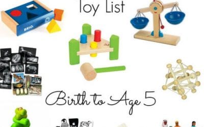 The Ultimate Non-Toy Gift Guide and Purging your Toys Approach by the Kavanaugh Report