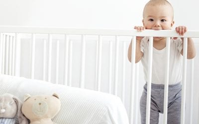 7 Cost Free Child Proofing Tips by Local Company Precious Baby Protectors