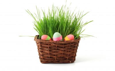 Fresh out of Easter Basket Ideas?
