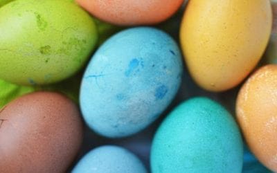 Local Easter Egg Hunts and Easter Bunny Photo Opps