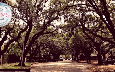 2018 Fall Guide – Our Top Neighborhood Favorites!