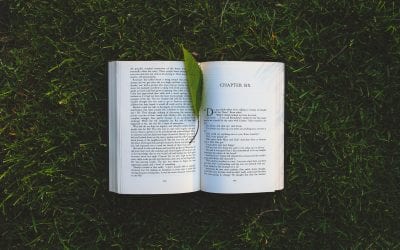 Jennifer and Karen’s Summer Travel and Book Reviews