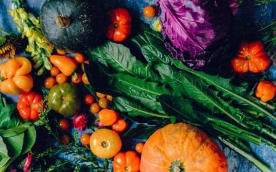 Neighborhood Farmers Markets Guide