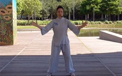 Discovery Green Announces Summer 2020 Online Programming Schedule