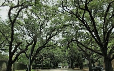 May Happenings in West U