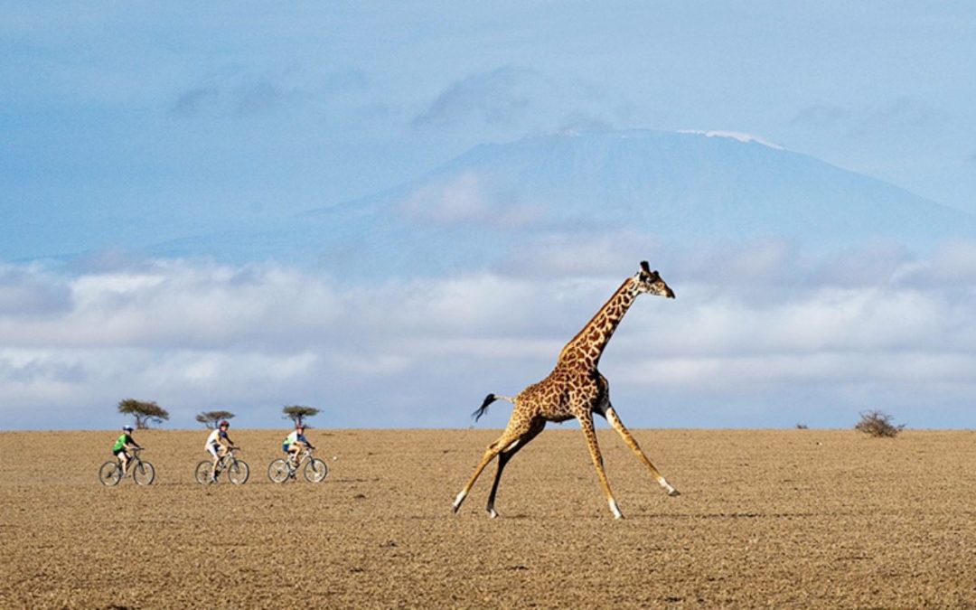 Top 10 Family Vacations