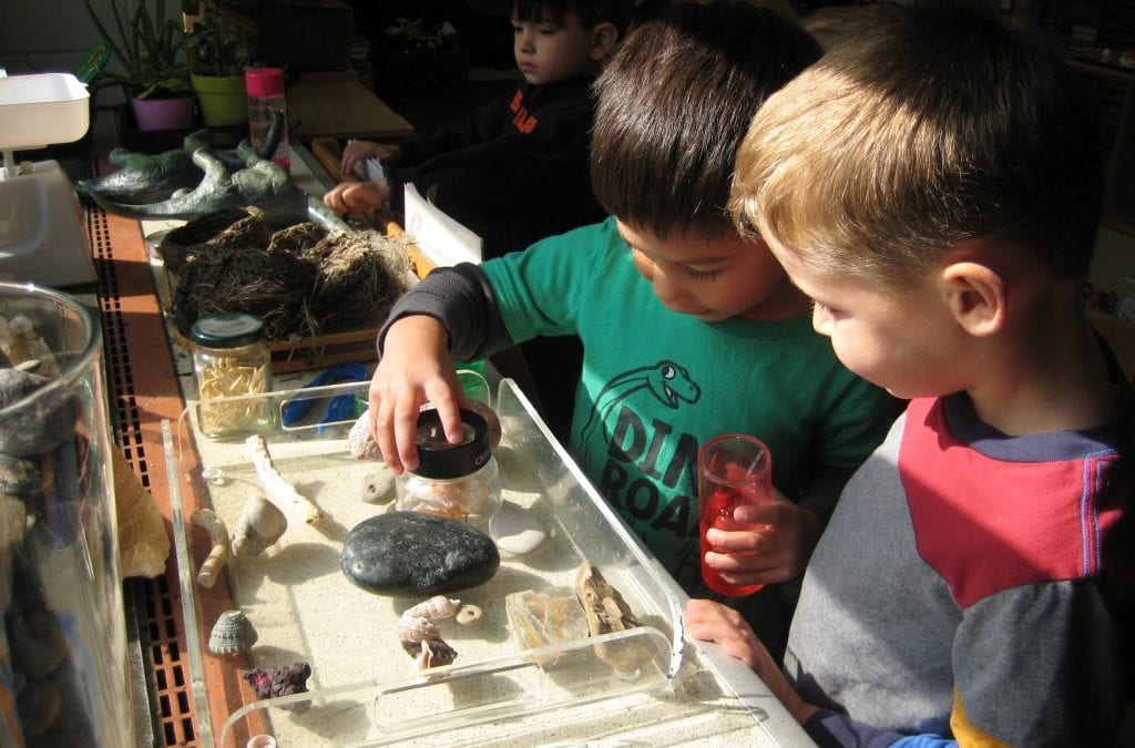 Turn Your Kids Loose for a Summer of Discovery!