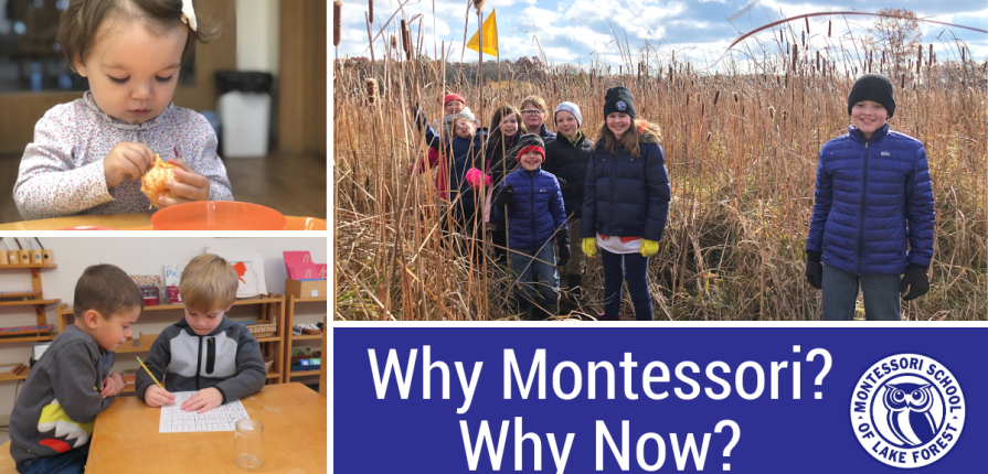 Why Montessori? Why Now?