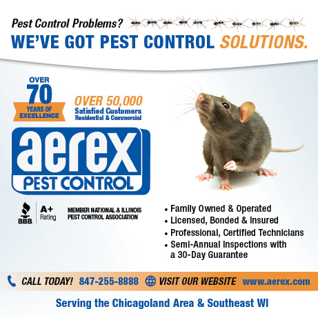 Do You Have a Rodent Infestation?