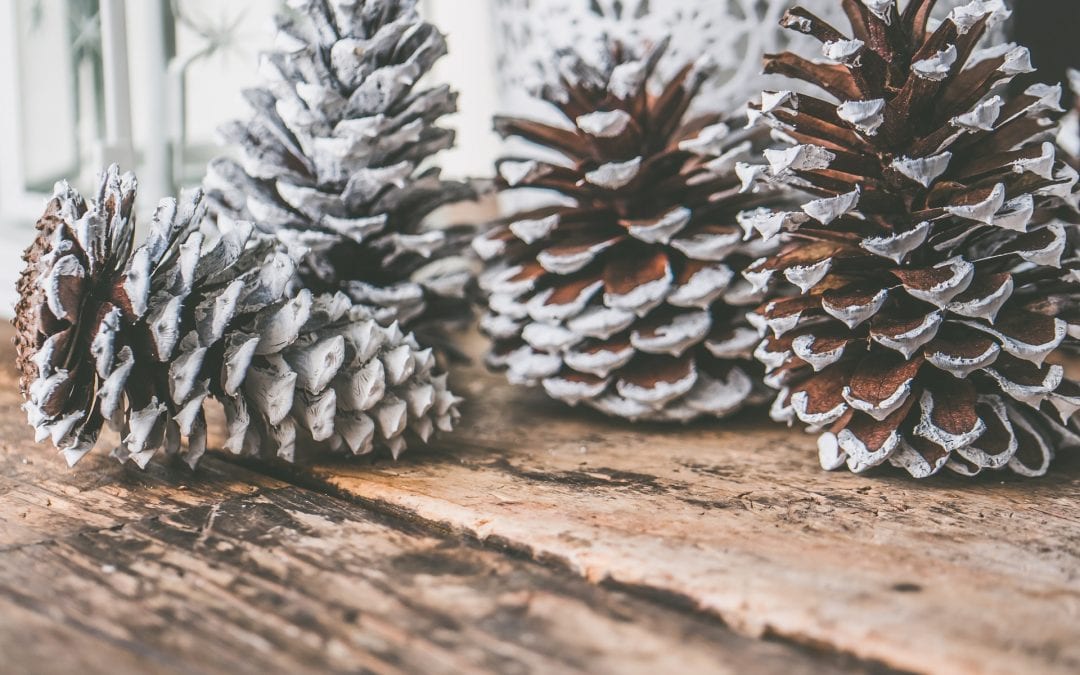 Where Designer Chris Roughan Shops for Holiday Décor