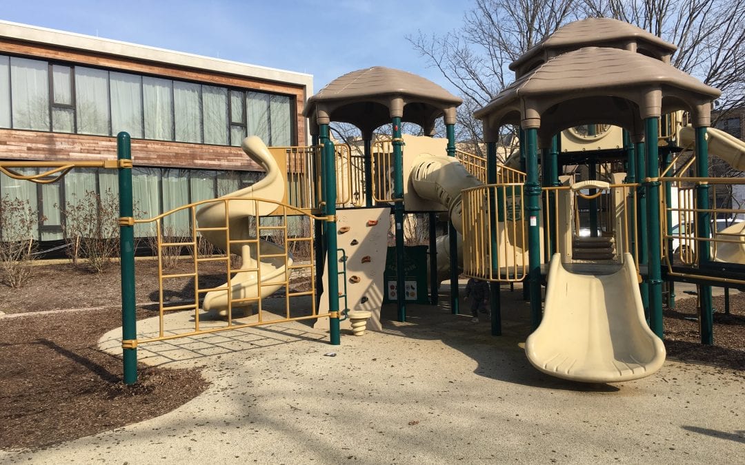 Stellar Playgrounds Around the North Shore!