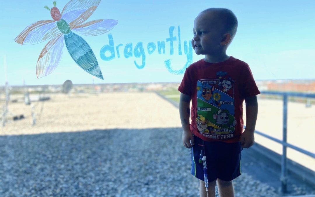 Nonprofit Spotlight: North Shore Mom Jessica Merar Introduces The Dragonfly Foundation