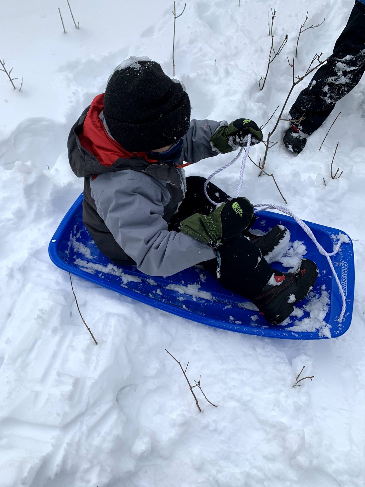 12 Sledding Hills on Chicago’s North Shore Chicago North Shore Moms