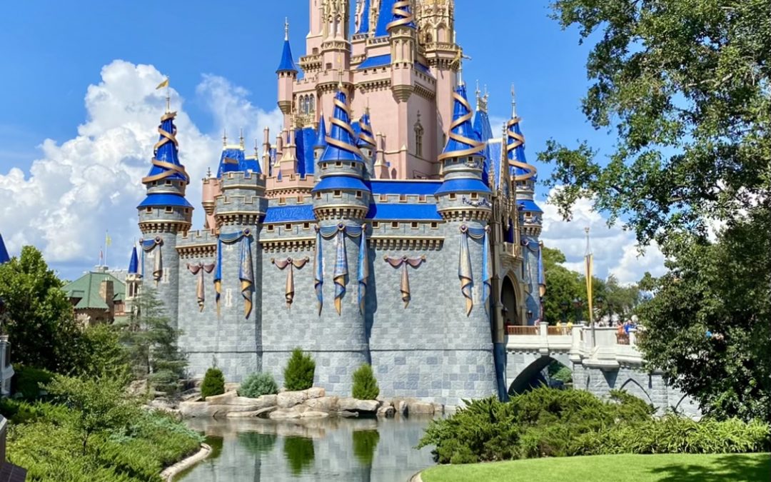 The Complex World of Walt Disney World Planning Explained