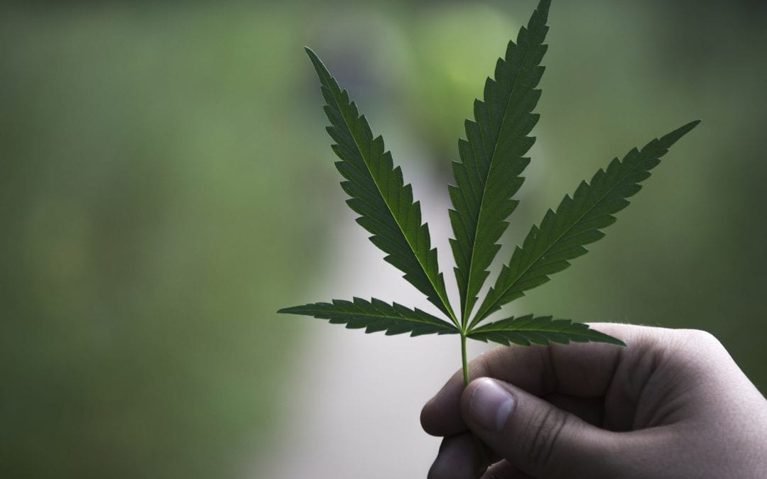 HEMP NOT HIGH: Why this Hamptons mom has decided to deal with her anxiety with Meditation, Yoga and a little CBD oil