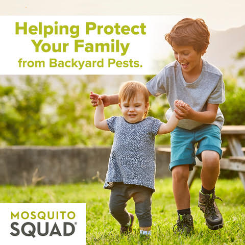 Mosquito Squad Tick Control Can Help Protect Your Yard This Spring 