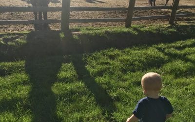 How to Travel with Kids: A Guide