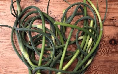 Farmer’s Market Feast with Local Doula Jodi Silberstein