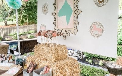 Horse-Themed Birthday Party by Tammy Leopaldi of House of Leo Blog