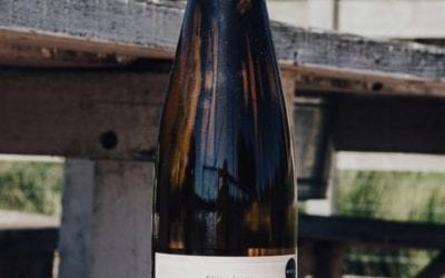 Wine Wednesday with Scout & Cellar!