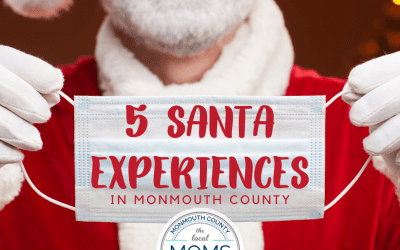 Socially Distanced Santa Photos and Visits In Monmouth County