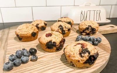 Blueberry Recipes!
